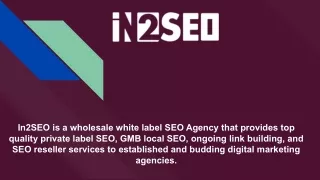 in2seo is a wholesale white label seo agency that