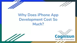Why Does iPhone App Development Cost So Much?