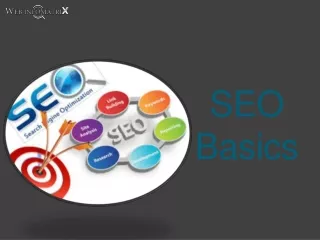 SEO Service Provider in India