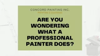 are you wondering what a professional painter does