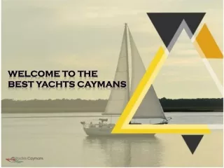 Cayman Catamaran Charter