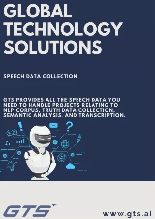 global technology solutions