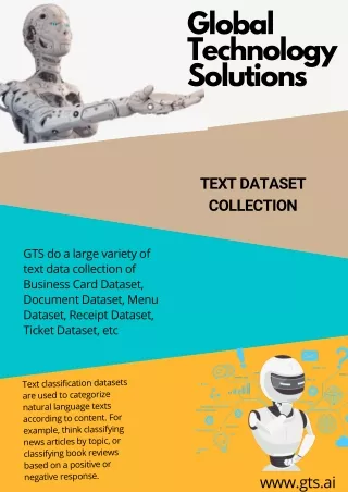 global technology solutions