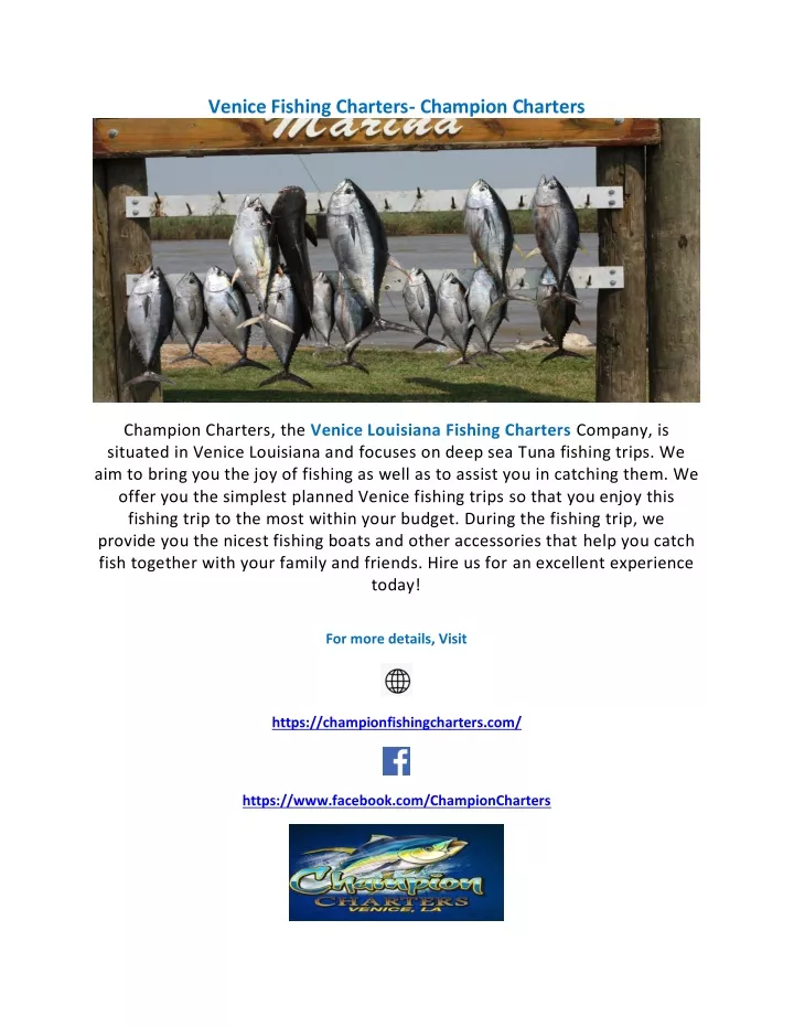 venice fishing charters champion charters
