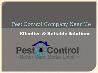 Find Pest Control Company Near Me