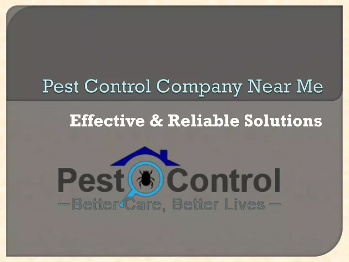 pest control company near me