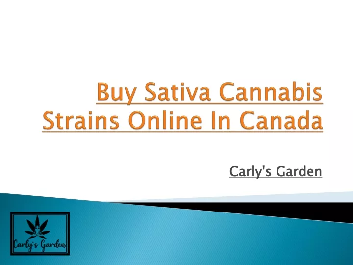 buy sativa cannabis strains online in canada