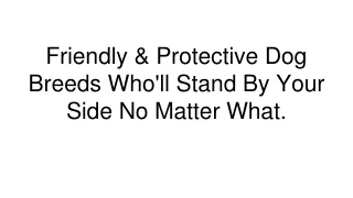 Friendly & Protective Dog Breeds Who'll Stand By Your Side No Matter What.