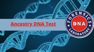 ancestry dna test