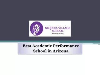 Best academic performance village charter school