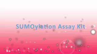 sumoylation assay kit