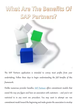 the sap partners application is intended