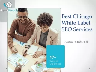 best chicago white label seo services