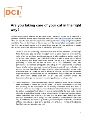 Are you taking care of your cat in the right way?