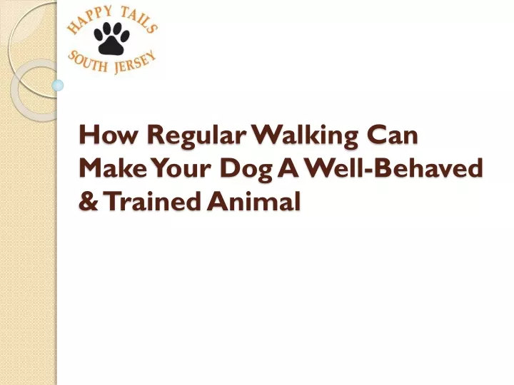 how regular walking can make your dog a well