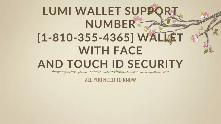 lumi wallet support number 1 810 355 4365 wallet with face and touch id security