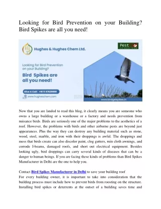 Best Bird Spikes Manufacturer in Delhi – Bird Gel Spikes