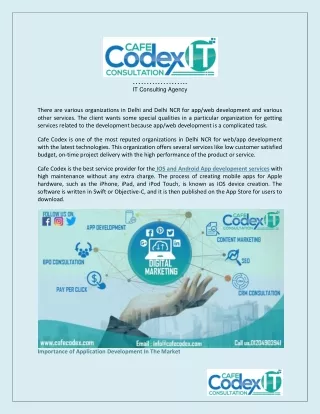 Cafe Codex IT Consultation Agency