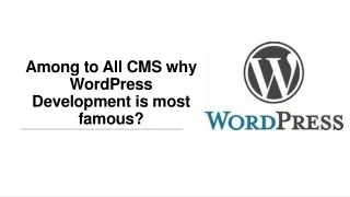 Why WordPress is Famous of all CMS