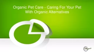 Organic Pet Care - Caring For Your Pet With Organic Alternatives