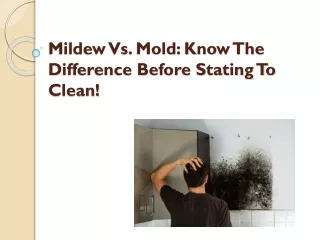 Mildew Vs. Mold: Know The Difference Before Stating To Clean!