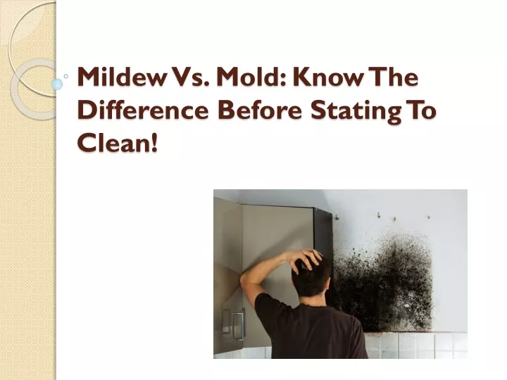 mildew vs mold know the difference before stating to clean