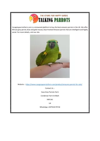Amazon Parrots for Sale in UK | Casagreyparrotsfarm.com