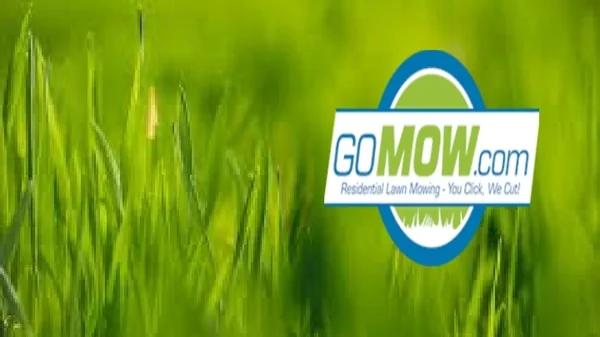 Weekly bi Weekly Lawn Care and Lawn Maintenance Service Provider - Gomow