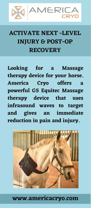 Massage Therapy