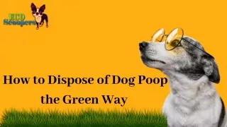How to Dispose of Dog Poop the Green Way