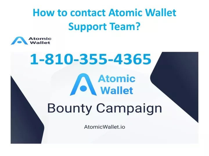 how to contact atomic wallet support team