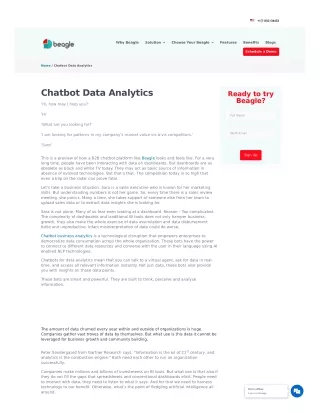 Chatbots Business Analytics - Beagle Analytics