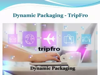 dynamic packaging tripfro