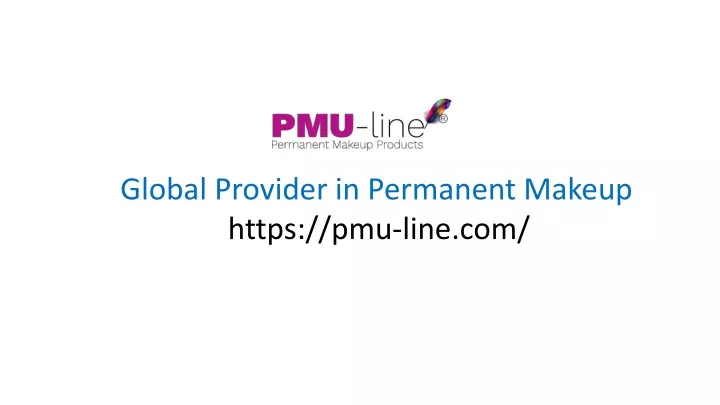 global provider in permanent makeup https