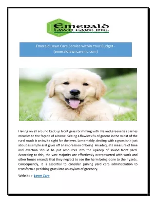 emerald lawn care service within your budget