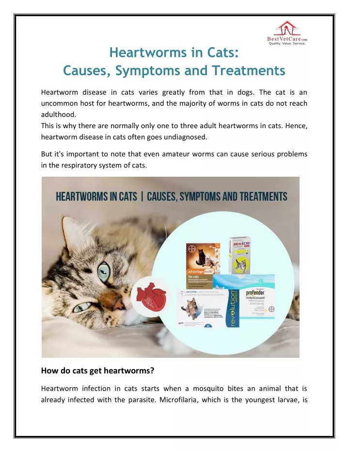 heartworms in cats causes symptoms and treatments