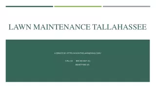 Lawn Maintenance Tallahassee