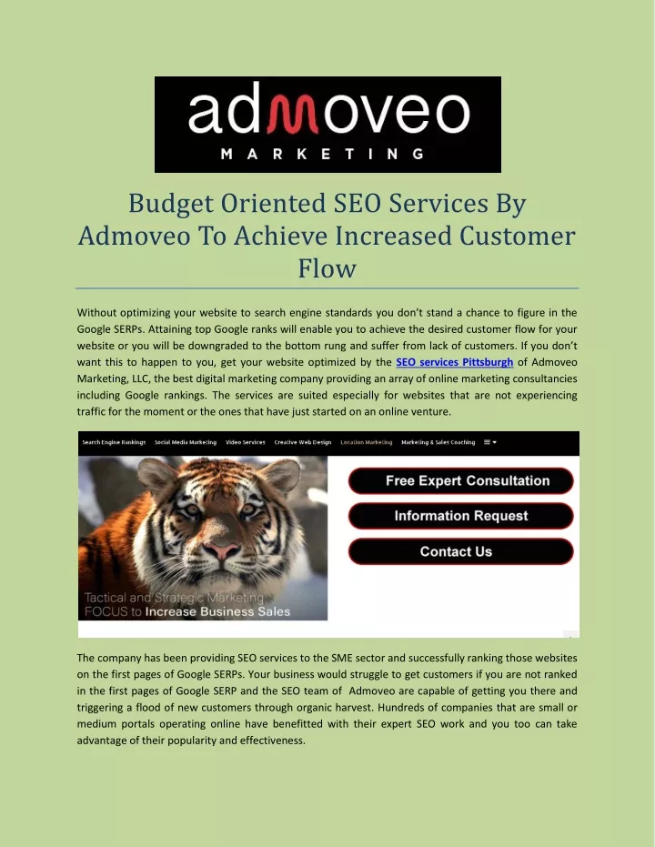 budget oriented seo services by admoveo