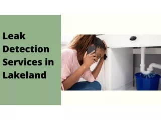 Leak Detection Services in Lakeland