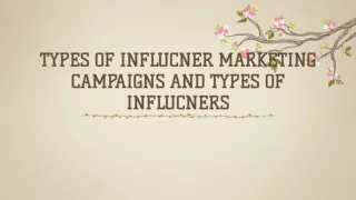 What are the types of influencer marketing campaigns and types of influencers?