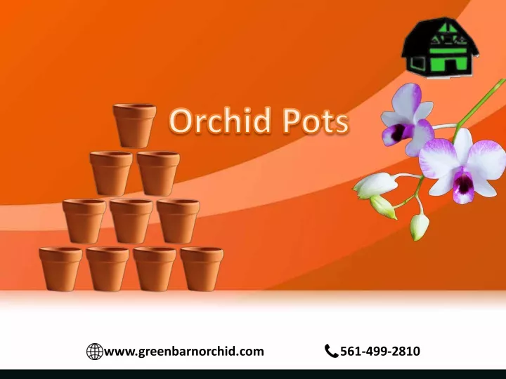 orchid pots