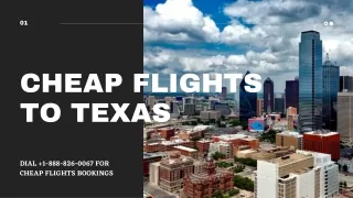 Cheap Flights to Texas