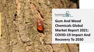 gum and wood chemicals global market report 2021