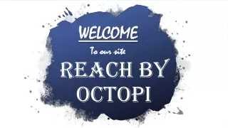 POS Developers - REACH by Octopi
