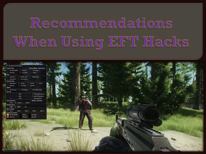 recommendations when using eft hacks