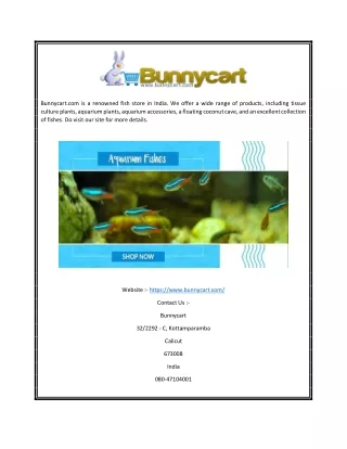bunnycart com is a renowned fish store in india