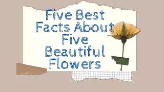 Five Best Facts About Flowers
