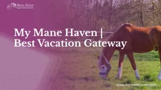 My Mane Haven | Enjoy Your Ultimate Horseback Riding Vacation Gateway