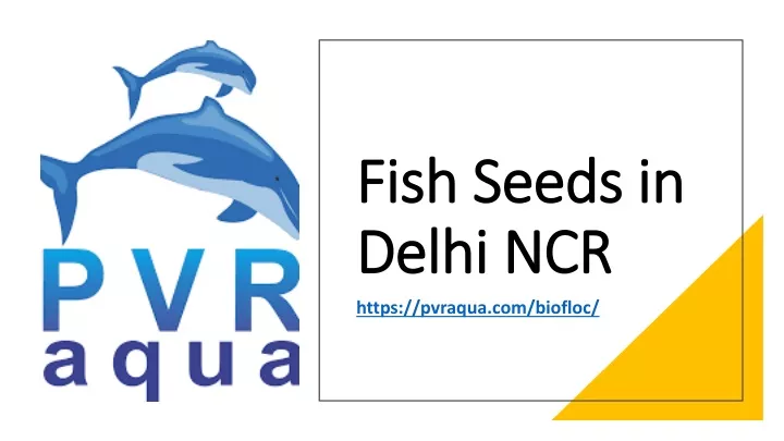 fish seeds in delhi ncr