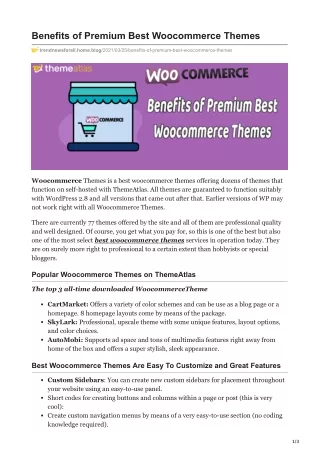 Benefits of Premium Best Woocommerce Themes